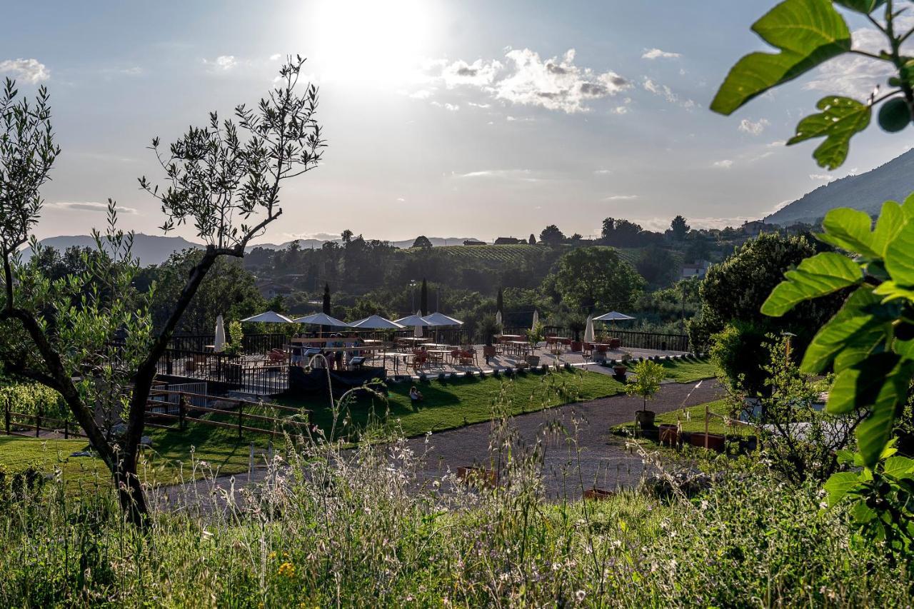 Al Piglio Maison De Charme Wine & Wellness Resort Bagian luar foto